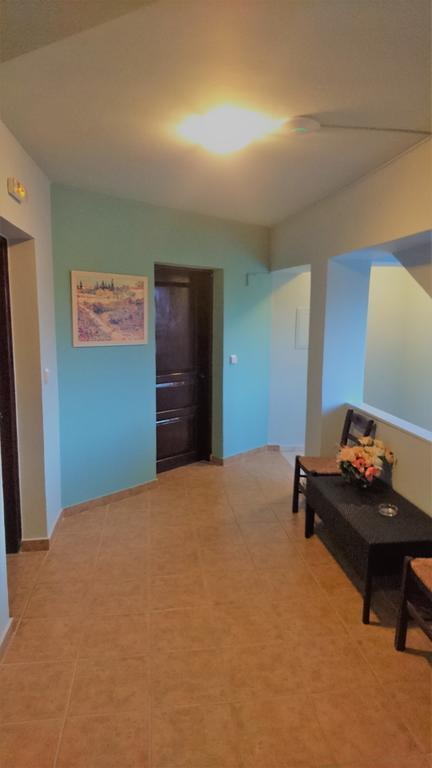 Doras Zante Studios & Apartments Argási Eksteriør bilde